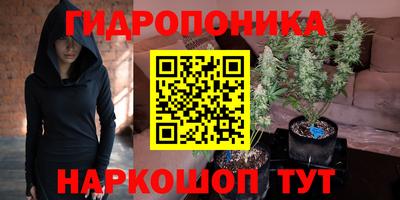 крисы Гусиноозёрск