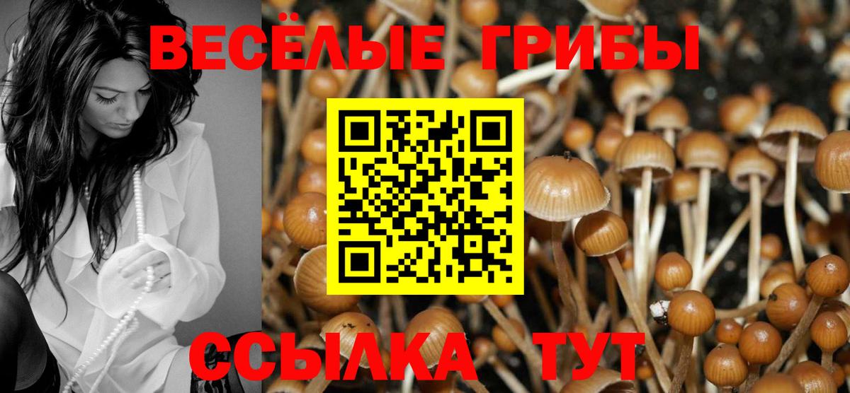 Галлюциногенные грибы Magic Shrooms  Вход с VPN  Можга 